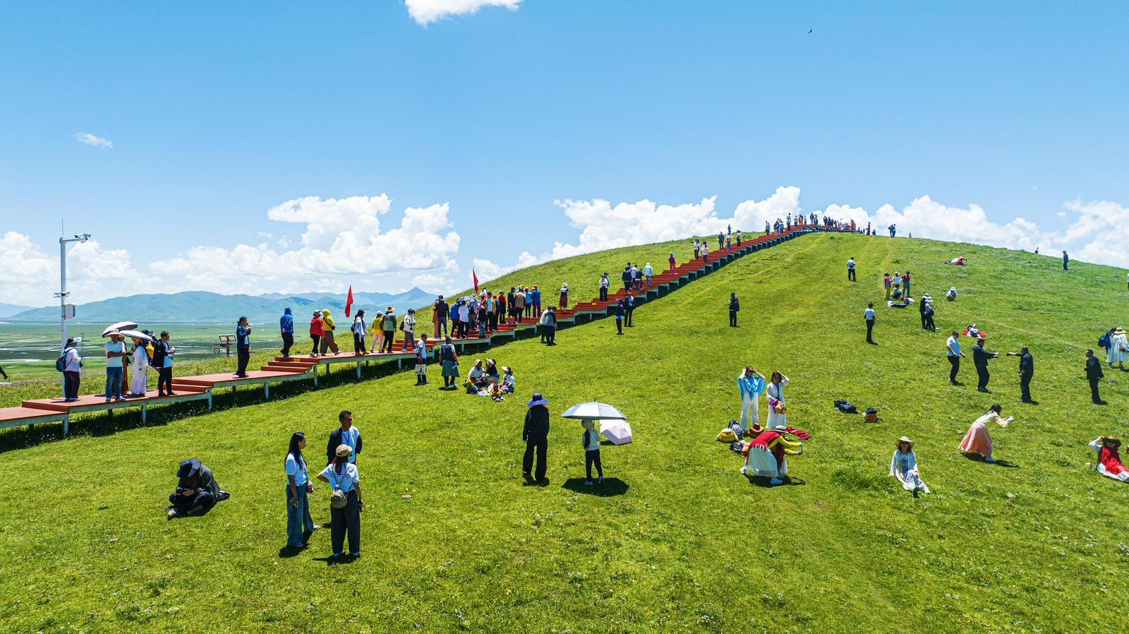 阿万仓湿地公园观景栈道